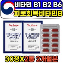피리독신 티아민 리보플라빈 비타민 b1 b2 b6 영양제 30정 2통 2개월분 미국 코스트코비타민B 간 중년 남성 남자 50대 피로회복 강장제 실리마린 밀크씨슬비타민비 판매