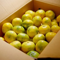 제주 효돈 하우스 감귤 노지 타이백 비가림 고당도 가정용 귤, 소과(2S - S)/30~47과, 2.5kg, 1개