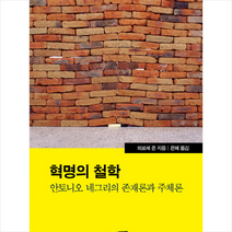 혁명의 철학 안토니오 네그리의 존재론과 주체론, 난장, 히로세준