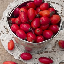 [버블빈] 로즈힙오일(정제)-Rosehip Oil, 1개, 500ml