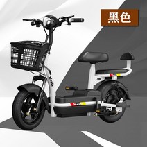 48V 전기 자전거 전동 스쿠터 클래식 자토바이 스카닉, 블랙