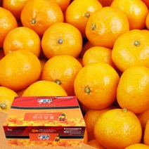 바로배송 농협공판장 정성드린 제주 칠십리 노지감귤 5kg(L-2L/37-46과내)