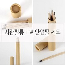 GJW28F172 n 거실 키우기쉬운식물 세트 씨앗연필 화분 인테리어식물 지관필통 거실인테리어 인테리어 싹이나는 식물인테리어 실내식물 미니 실내 펜/펜리필 방울토마토 외 4가지옵션, 도매프리 해바라기