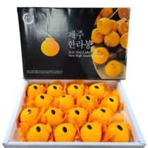 [황금원] 고당도프리미엄 한라봉 대과 (12~19과) 5kg 선물세트/명절선물로 강력 추천, 1box