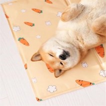 강아지 고양이 아이스패드 쿨매트 여름패드