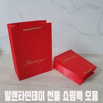 선물용 쇼핑백 비비드 종이가방 10장 세트 발렌타인데이 화이트데이 결혼식 버스 간식 답례품 선물쇼핑백, 선물용 쇼핑백 비비드 종이가방 레드 중형 10장