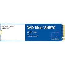 Western Digital Blue SN570 M.2 NVMe 2280 500GB, 500기가
