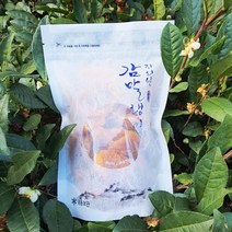 산청 지리산 감말랭이 500gx2 _해오름약초