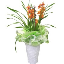 엔젤플라워 초특가할인 고급 동양란 서양란 BEST 개업 승진, B19 핑크심비디움, 1개