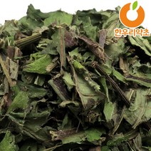 엉겅퀴 600g 엉겅퀴차 효능 먹는법 국산, 엉겅퀴전초600g