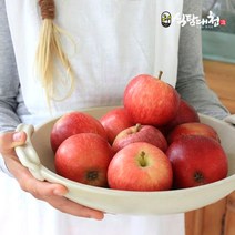 경북 가정용 못난이 흠집 부사 사과 9kg(45-49과)소과, 단품