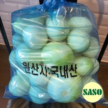 새벽시장바로배송 깐양파 국내산 5kg 10kg 업소용