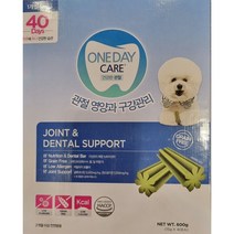 원데이케어 애견관절 치석케어 15g x 40개 총중량 600G