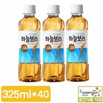 웅진식품 [웅진식품] 하늘보리 325ml x 40페트, 단품없음