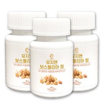 유지앤 보스웰리아 정 600mg x 60정 3개