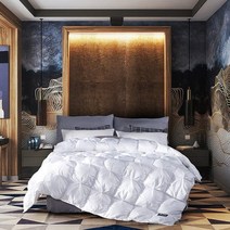 호텔구스이불 겨울용 흰색 거위 가을 삽입 담요 깃털 킹 퀸 트윈 사이즈, 150x200cm 2.5kg, 구미안
