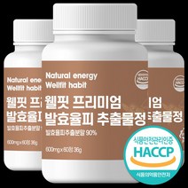 웰핏 발효율피 추출물 프리미엄정 600mg, 60정, 3박스