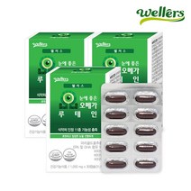 [웰러스] 눈에좋은 오메가3 루테인 3박스 (3개월분) / 눈영양제 11종 기능성