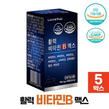 활력 비타민비 비타민B 맥스 비오틴 함유 수용성 비타민B군 8종 건강기능식품, 5박스, 90정