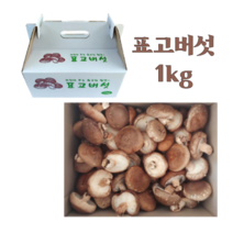 생 표고버섯 농장 산지직송 중품 1kg, 1개