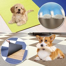 매트 카펫 고양이 미끄럼방지 강아지카페트 슬개골탈구 캣 타워 애견매트 스크래쳐 홈스월드, 30. PVC롤매트 1m 나뭇잎격자