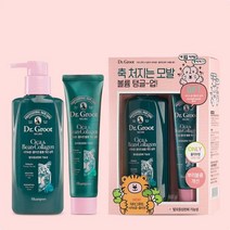 닥터그루트 시카&콩콜라겐 샴푸 300ml (100ml 증정)(볼륨강화+탈모완화), 시카 콩콜라겐(볼륨강화)
