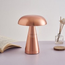 덴마크 LED 데스크 램프 USB 터치 디밍 실내 조명 커피숍 식당 테이블 서재 침대 머리맡 바 야간 조명 장식, Bronze