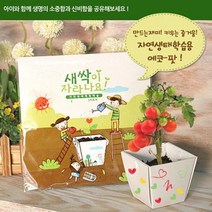 꿈쟁이 에코팟 자연생태학습용 봉선화 텃밭가꾸기세트 베란다텃밭DIY, 1개