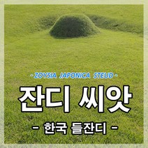 한국잔디씨앗50g-2봉(6.6평방미터/2평용)잔디씨 산소 정원 공원 묘지 골프장 용, 2봉