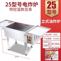 전기 튀김기 튀김기계 치킨 가정용 감자 돈까스 12L 26L 업소용, 수직 럭셔리 CNC 25