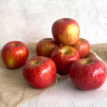 빨간 달콤새콤한 홍로 사과 가정용 실속형 3kg / 부사 / 아오리 / 요까, 꿀뚝둑 홍로 사과 실속형 3kg (15-18과), 1개