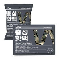 충성 NEW 핫팩 포켓용 중형 100g x 10p, 3개