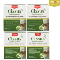 뉴질랜드 파이오라 시서스 알약 시저스 3개월분 CISSUS 시서스추출물 1000mg, 360정 (4박스)