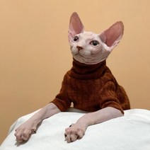 chol 스핑크스 고양이 가을 겨울 탄력 티셔츠 XS-XXL, 레드