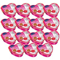 비타크래프트 성묘용 포에시 하트캔 고양이 주식 파우치, 치킨 + 당근 + 사과, 85g, 15개