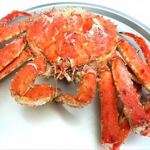 자숙 레드 킹크랩, 3.5kg, 1개