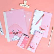 카카오프렌즈 신학기 열공 문구세트, 라이언
