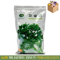 [농협하나로마트] 신영파슬리후레이크250G