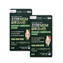 온누리 조인엔MSM 글루코사민 (구 조인포스정) 120정 캐나다산, 1개, 1개