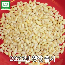 유기농인증 태백산자락 영월잣영농조합 백잣 황잣 500g, 1개, 황잣  500g