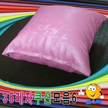 35레자쿠션모음6레자쿠션등쿠션쿠션모음예쁜쿠션 푹신한 피, 쿠팡 S-1058