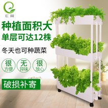 가정용 식물재배기 수경재배기 식물 재배기 발코니 무토재배 채소 재배기 수배설비 가정용 채소신기 실내 가정, 옵션19, 크다