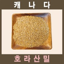 에코푸드 추억의 꽈배기 5봉, 1세트