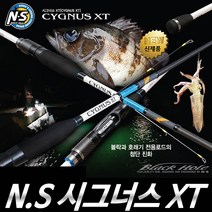 영상낚시 NS 블랙홀 시그너스 XT 볼락루어대 호래기