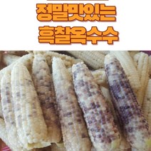 정자농원 농부직송 흑찰옥수수 선별 괴산햇찰옥수수 생물옥수수 맛있는 옥수수, 30개