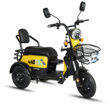 3발 전동차 세발오토바이 전기오토바이 전동3발스쿠터, 블랙 골드 48V 13A 배터리 충전기48V