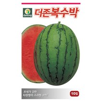 더존 복수박 씨앗 10립 - 수박씨 복수박씨 꿀수박 야채씨앗 채소씨앗 채소재배 종묘 종자 베란다 텃밭 씨 씨앗 오이 호박 방울토마토 참, 19_다농_더존복 수박(10립)
