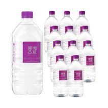 몽베스트 1L 12병