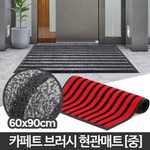 빌딩 입구 먼지제거 논슬립 카페트 현관매트 매장 pvc