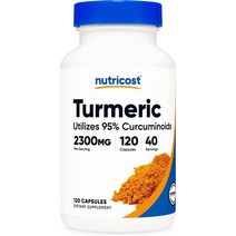 뉴트리코스트 강황 500mg 캡슐 120캡슐 1서빙 500mg 120회분 Turmeric Capsules [120 CAPS], 120정, 1개